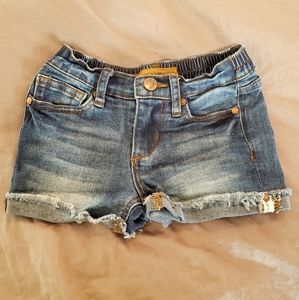Joe's shorts